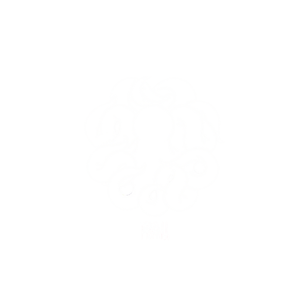 PARVENU